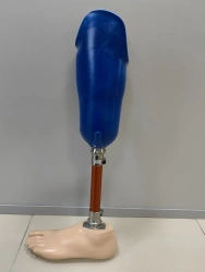 Tibial prosthesis for bathing PN3-94