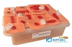 Set of wound moulages for forensic medicine, 16 wounds and lesions NMR-2SM