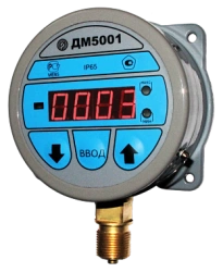 Pressure gauge DM5001