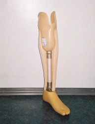 Modular tibial prosthesis PN3-87