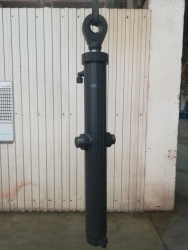 Hydraulic cylinder DZ-98V.43.03.000 (01)