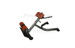 SW-0020-G. Hyperextension inclined 45 degrees