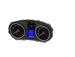Instrument combinations control unit 8450110566 for LADA vehicles