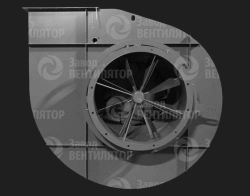 Radial type fan VNZh