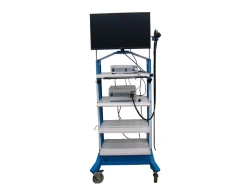 Video endoscopic system SV-1
