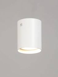 General purpose fixed luminaire V4639-0/1PL