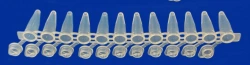 Non-sterile polymer tube for in vitro diagnostics according to TU 32.50.50-021-54287340-2022: Cone microtube PM3K-7-21-P