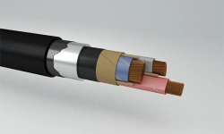 Power cables with copper conductors with paper impregnated insulation, in lead sheath, for voltage 6-10 kV grade SShv