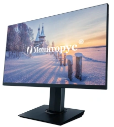 LCD monitor MONITORUS 2400/DP CD2400