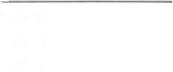Guide spoke 1.0x100 mm, article no. 560.001