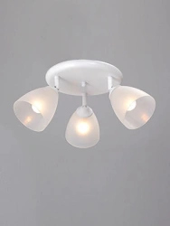 General purpose fixed luminaire V4355-0/3PL