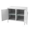 Medical laboratory cabinet mod.1, var.1 according to GIKS.942810.105 TU