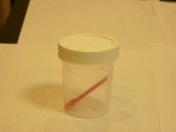 Polymer container for bioassays, disposable, sterile-COP 100ml/B with spoon