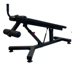 Bench for abs