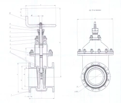 Brass wedge gate valve DN 150 PN 0,6 MPa ITSHL.491655.003-01 (532-01.007-01)