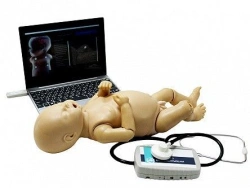 Mannequin for auscultation of a newborn baby, Art.Z980N