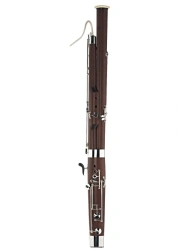 Bassoon Dotsenko & Co. DBN-301