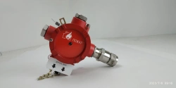 Explosion-proof manual fire detector IP535