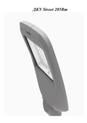 LED luminaire DCS Street 205W