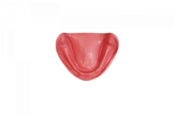 Gingiva for the mandible of the edentulous model with undercuts PD-DV BZ