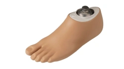 Foot prosthesis