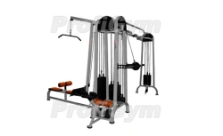 MS-0250-C. Four-position station with hyperextension