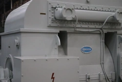 Asynchronous electric motor 4AZM-5000/6000