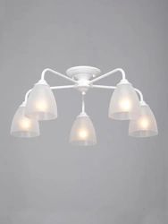General purpose fixed luminaire V3946-0/5PL