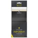 Graphite pencils "VKF" "Project" 12P-4010 Set of sharpened OPP lead pencils 8x12 pcs.