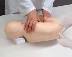 Infant model for lumbar puncture PS6300