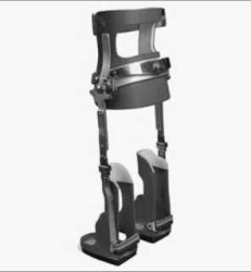 Lower limb and torso apparatus (orthosis) AN8-R.2