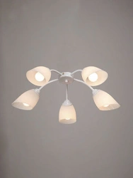 General purpose fixed luminaire V3194/5PL