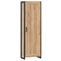 Techno LD.678060.000 Single-leaf cupboard (Oak Gold )