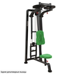 Free Weight Trainer Rear Deltoids
