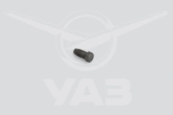 046900170211000 Shift locking screw