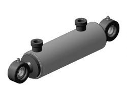 EDTsG 50.25x100.100PM (EDTsG50.25x100.000PM) Hydraulic cylinder