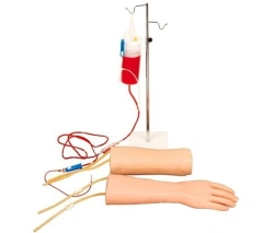 Models of hand and forearm, elbow for IV injection, art. no. S18.