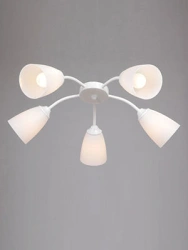 General purpose fixed luminaire V3187-0/5PL