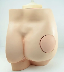 Model of buttocks for practising I/M injections and enema administration, ROST-T1