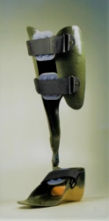 Ankle apparatus AN2-T