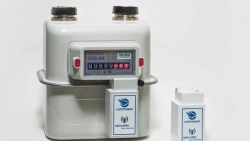 Gas meter volumetric diaphragm diaphragm gas meter "Schetpribor" model SGD SMART with electronic corrector, built-in telemetry d