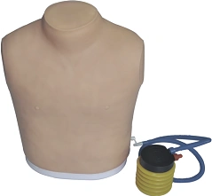 Model of pneumothorax, item Q7