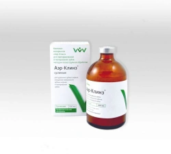 Aer-Klins kit for preparation and polishing of teeth by sandblasting" (suspension).
