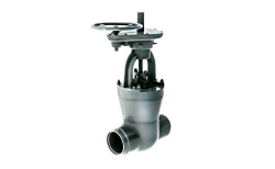 Gate valve 882-300-CZA