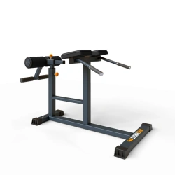 BF-319 Horizontal hyperextension