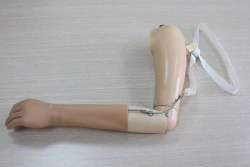 Active shoulder prosthesis