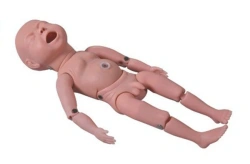 Newborn model Y2