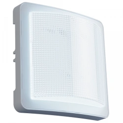 LED luminaire DBP "Econo-ZhKH" LED, 6W, 670Lm, CRI80, with optical-acoustic sensor, vandal-proof with protection against theft