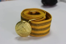 Parade belt type G