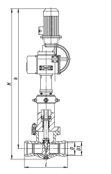 Gate valve 2s-30-2EN